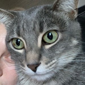 Meet your Posher, Katharine